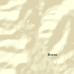 Borau Street Map