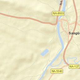 Sangüesa/Zangoza Street Map