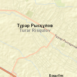 Turar Ryskulov Street Map