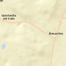 Benavides Street Map