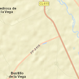 Bustillo de la Vega Street Map