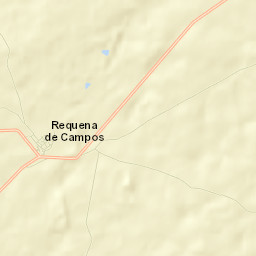 Requena de Campos Street Map