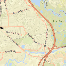 Needham Street Map