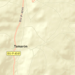 Tamarón Street Map