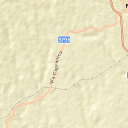 Ronciglione Street Map