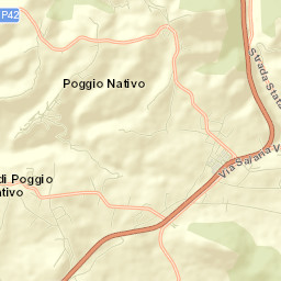 Poggio Nativo Street Map