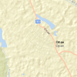 Obshtina Opan Street Map