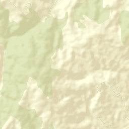 Obshtina Nevestino Street Map