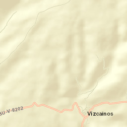 Vizcaínos Street Map