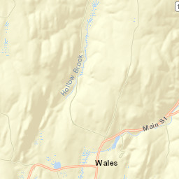 Wales Street Map