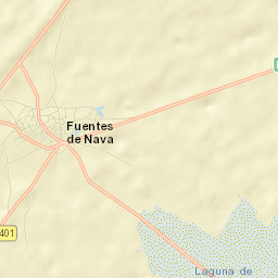 Fuentes de Nava Street Map