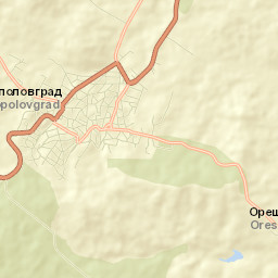 Topolovgrad Street Map
