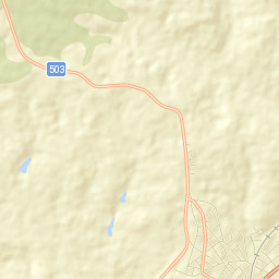 Simeonovgrad Street Map