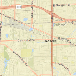 433 Garden Avenue Roselle IL 60172 Street Map