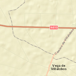 Vega de Villalobos Street Map