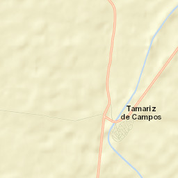 Tamariz de Campos Street Map