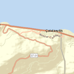 Çatalzeytin İlçesi Street Map