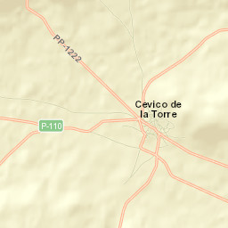 Cevico de la Torre Street Map