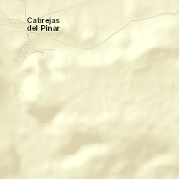 Cabrejas del Pinar Street Map