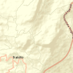 Salcito Street Map