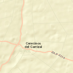 Cerecinos del Carrizal Street Map
