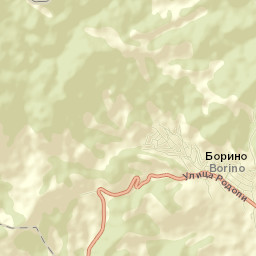 Borino Street Map