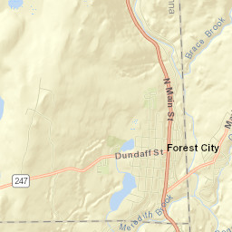 Forest City Street Map