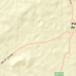 Pinilla de Toro Street Map