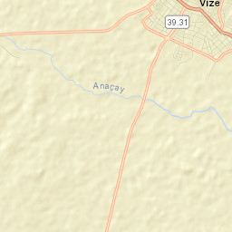 Vize Street Map