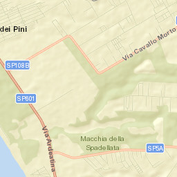 Lido dei Pini Street Map