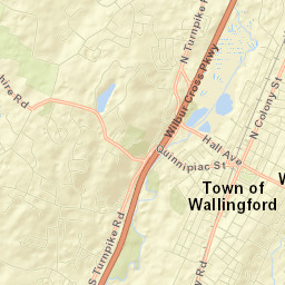 Wallingford Street Map