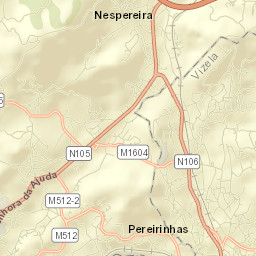 Caldas de Vizela Street Map