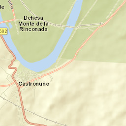 Castronuño Street Map