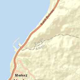 Alaplı Street Map