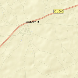 Codorniz Street Map