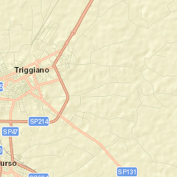 Triggiano Street Map