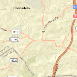Grijó Street Map