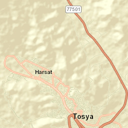 Tosya Street Map