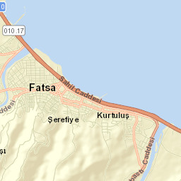 Fatsa Street Map