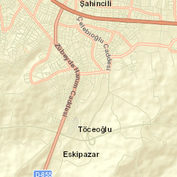 Ordu Street Map