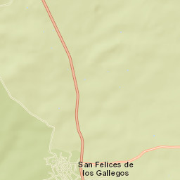 San Felices de los Gallegos Street Map