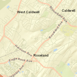 Essex Fells Street Map