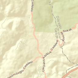 Tavşanlı Street Map