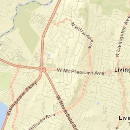 Livingston Street Map