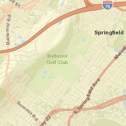 Springfield Street Map
