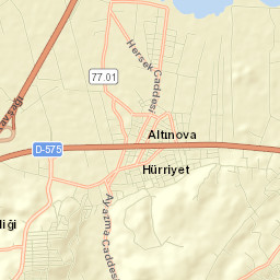 Altınova Street Map