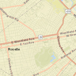 Roselle Park Street Map