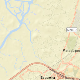 Esgueira Street Map