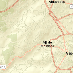Viseu Street Map
