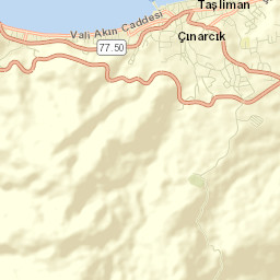Çınarcık Street Map